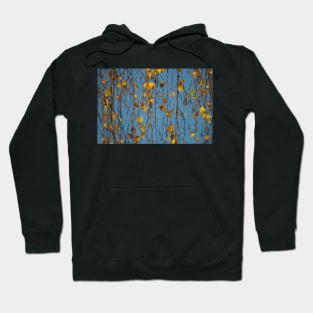 Autumn leafs and sky Hoodie